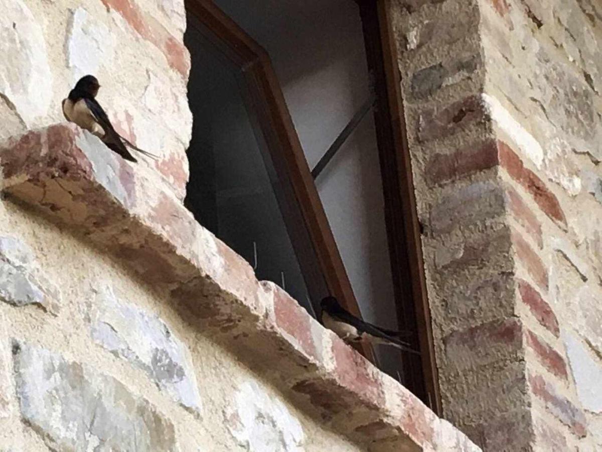 Villa Casale de Conti - San Venanzo Esterno foto